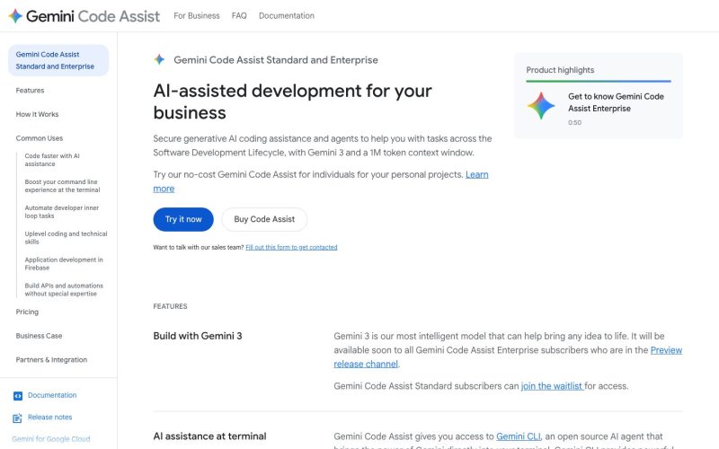 Gemini Code Assist