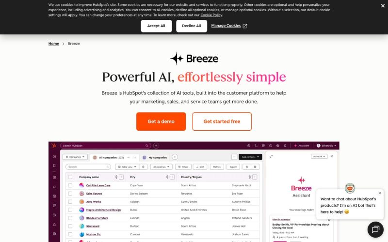 HubSpot AI